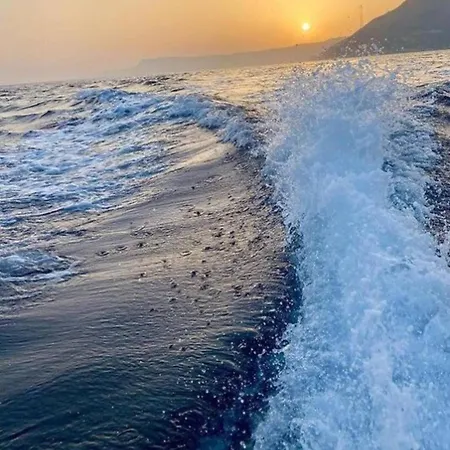 Il Sogno Di Giorgio * 基亚瓦里